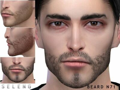 Beard N71 By Seleng Sims 4 CC