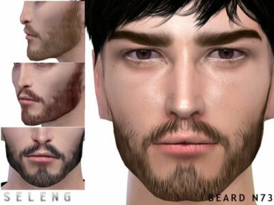 Beard N73 By Seleng Sims 4 CC