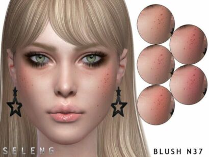 Blush N37 By Seleng Sims 4 CC