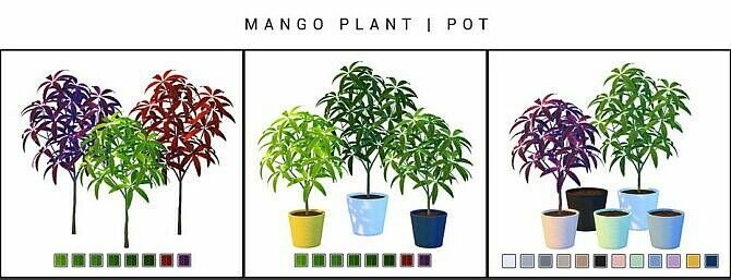 sims 4 cc daya mango plant at nynaeve design 2