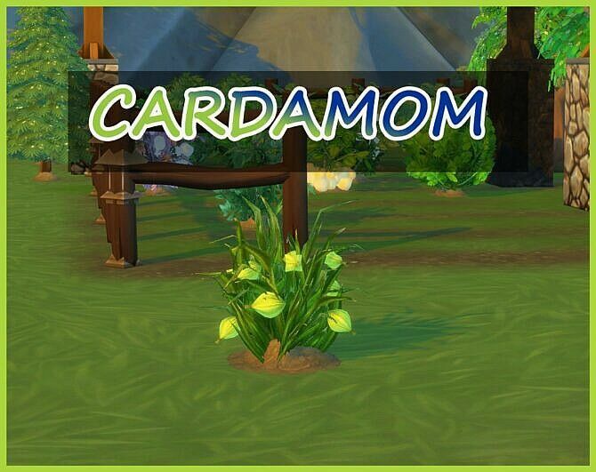 Harvestable Cardamom At Icemunmun Sims 4 CC