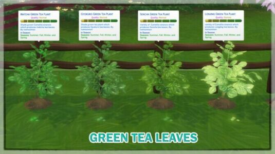 Harvestable Green TEA Leaves At Icemunmun Sims 4 CC