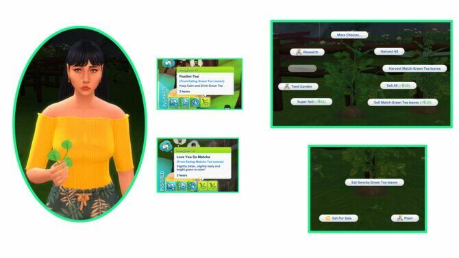 sims 4 cc harvestable green tea leaves at icemunmun 2