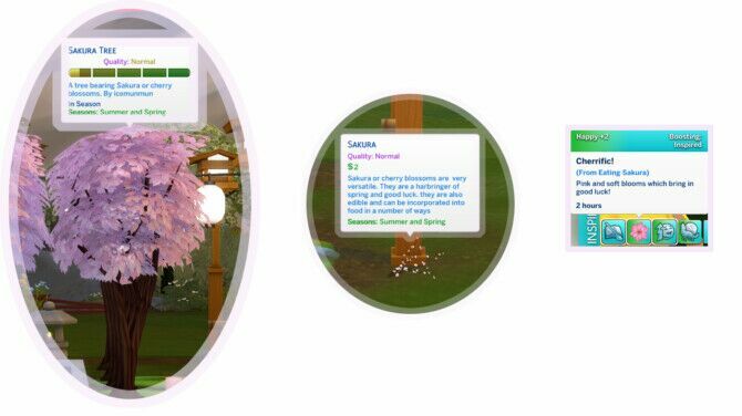 sims 4 cc harvestable sakura tree at icemunmun 3