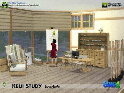 Keiji Study By Kardofe Sims 4 CC