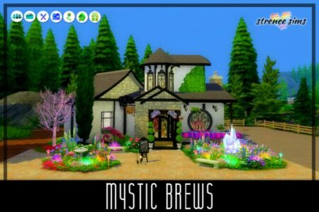 Mystic Brews At Strenee Sims Sims 4 CC
