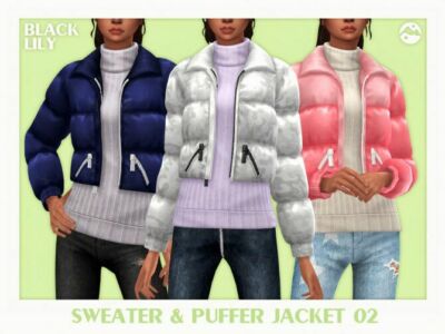 Sweater & Puffer Jacket 02 By Black Lily