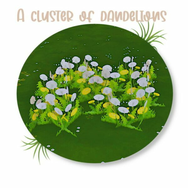 A Cluster Of Dandelions By Moonfeather Sims 4 CC