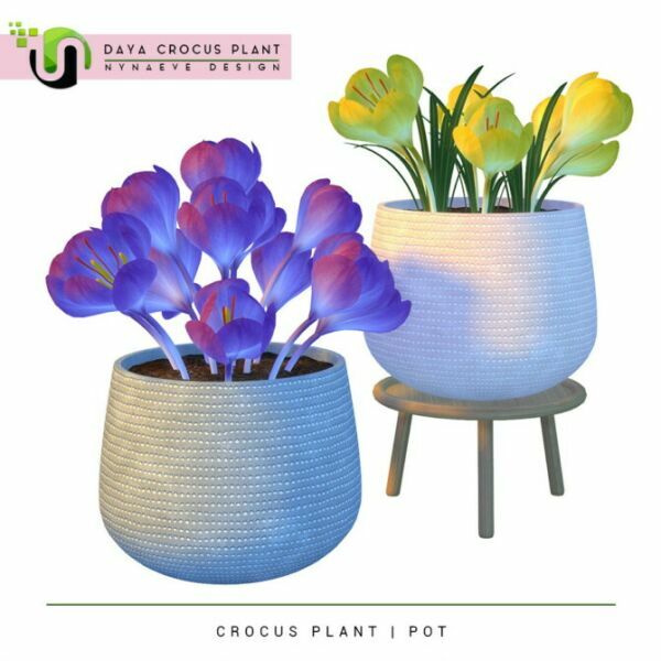 Daya Crocus Plant At Nynaeve Design Sims 4 CC