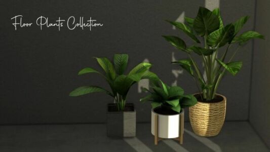 Floor Plants Collection By Sunkissedlilacs Sims 4 CC