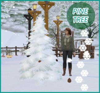 Harvestable Pine Cone And Pine Nuts By Icemunmu Sims 4 CC