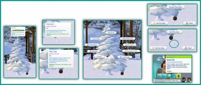 sims 4 cc get free harvestable pine cone and pine nuts by icemunmu 2