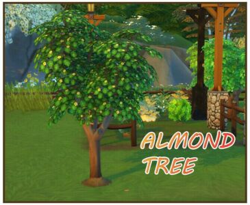 Harvestable Almond At Icemunmun Sims 4 CC