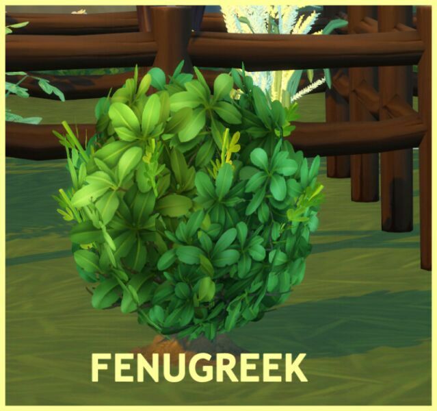 Harvestable Fenugreek At Icemunmun Sims 4 CC