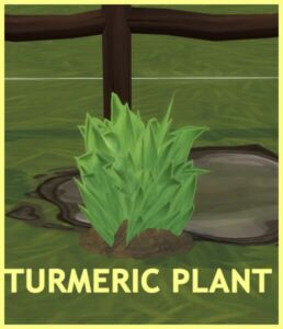 Harvestable Turmeric At Icemunmun Sims 4 CC