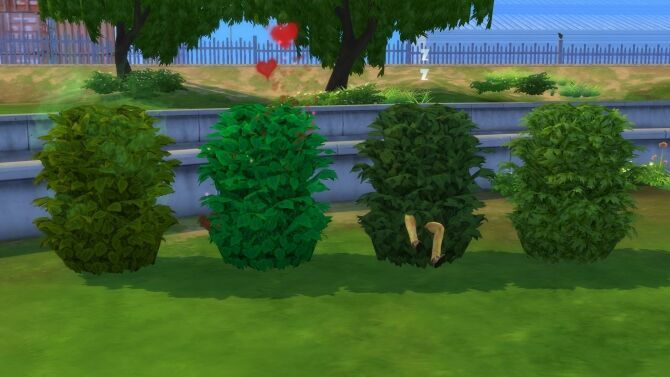 Plain Interactive Bushes By Ellawese Sims 4 CC