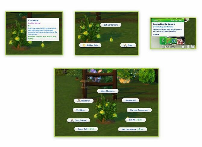 sims 4 cc must see harvestable cardamom by icemunmun 2