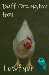 Real Breeds Buff Orpington HEN By Lowflyer Sims 4 CC