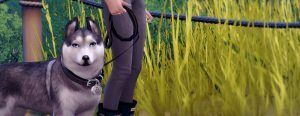 Take The Lead | DOG Leash Override By Magnolian Farewell Sims 4 CC