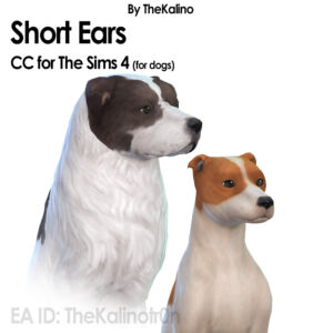 Short Ears For Dogs By Kalino Sims 4 CC