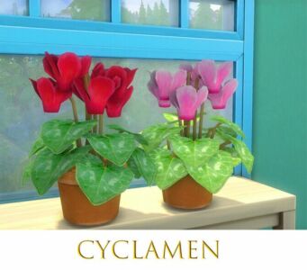 Cyclamen By Pocci At Garden Breeze Sims 4 Sims 4 CC