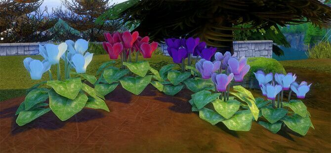 sims 4 cc cyclamen by pocci at garden breeze sims 4 2