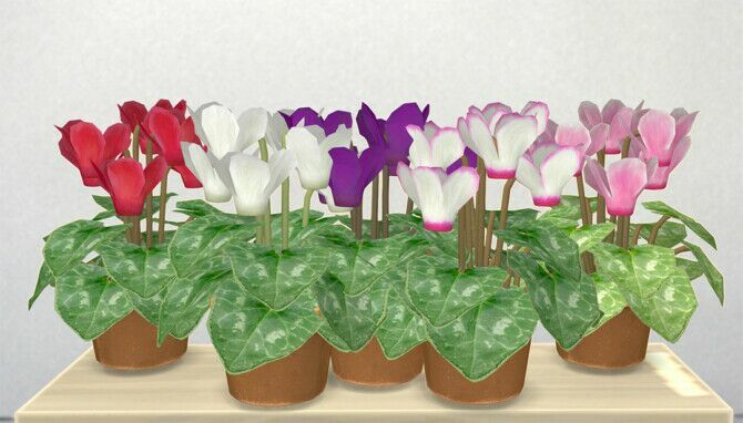 sims 4 cc cyclamen by pocci at garden breeze sims 4 3