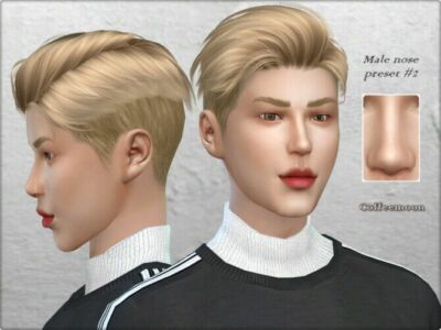 Male Nose Preset #2 By Coffeemoon Sims 4 CC