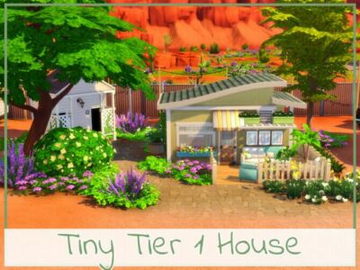 Tiny Tier 1 House By Simmer_Adelaina Sims 4 CC