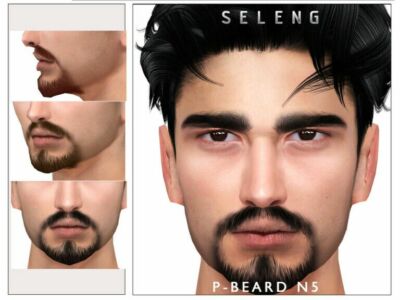 P-Beard N5 By Seleng At Sims 4 CC