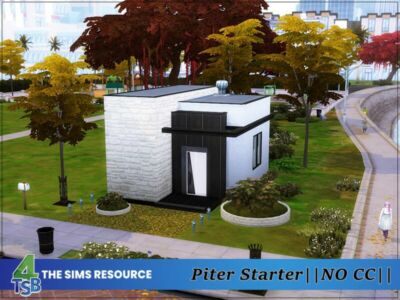 Piter – Starter By Bozena Sims 4 CC