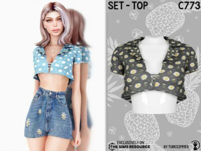 Set-Top C773 By Turksimmer Sims 4 CC