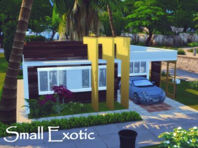 Small Exotic |NO CC By Genkaiharetsu Sims 4 CC