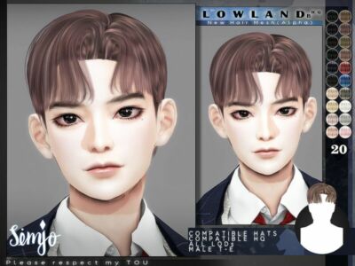 TS4 Male Hairstyle_Lowland_B By Kimsimjo Sims 4 CC