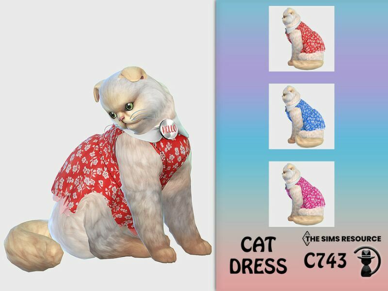 CAT Dress C743 By Turksimmer Sims 4 CC