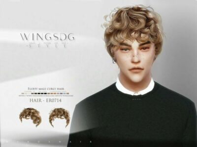 Fluffy Male Curly Hair ER0714 By Wingssims Sims 4 CC