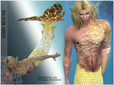 Mermaid TOP For MEN Sims 4 CC