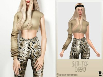 Set-Top C690 By Turksimmer Sims 4 CC