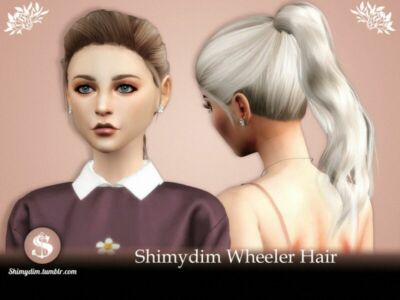 Wheeler Hairstyle By Shimydim Sims 4 CC