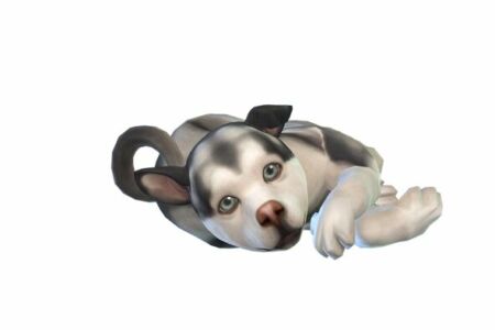 Alaskan Puppy |CC Free By Mrsbarbiex3 Sims 4 CC