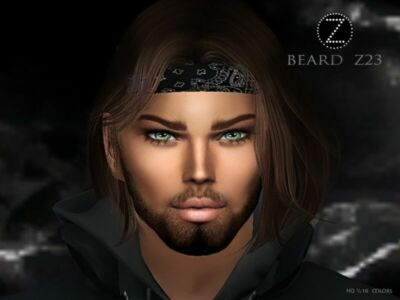 Beard Z23 By Zenx Sims 4 CC