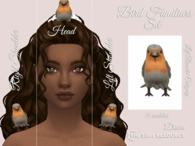 Bird Familiar SET By Dissia Sims 4 CC