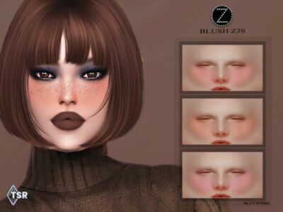 Blush Z39 By Zenx Sims 4 CC