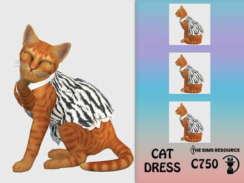 CAT Dress C750 By Turksimmer Sims 4 CC