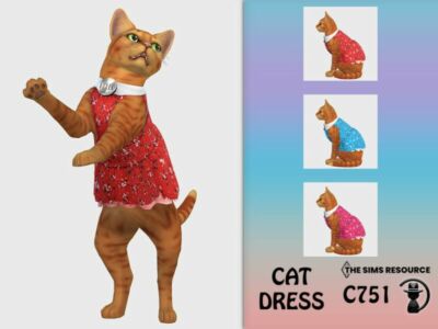 CAT Dress C751 By Turksimmer Sims 4 CC