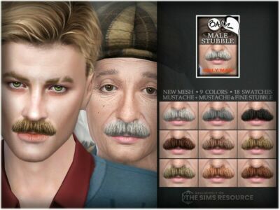 Einstein’S Mustache Sims 4 CC