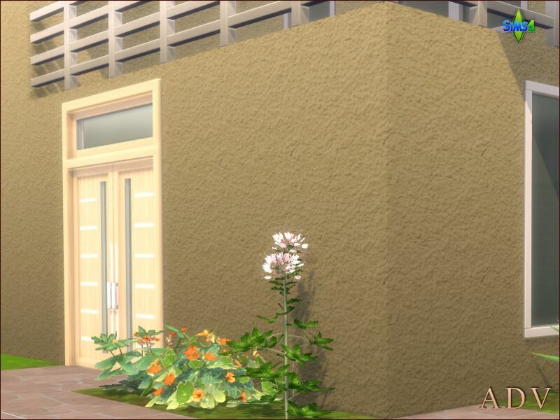 sims 4 cc exterior plaster walls 8