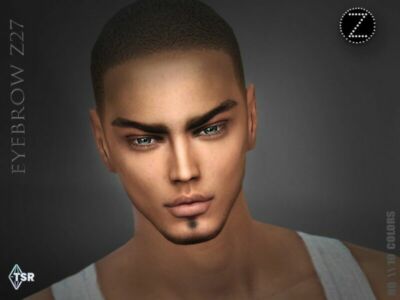 Eyebrow Z27 By Zenx Sims 4 CC