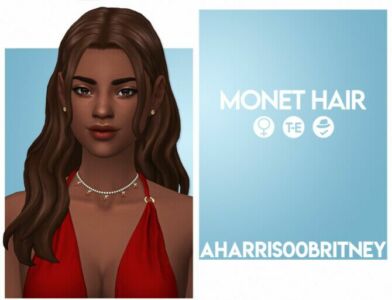 Monet Hair Sims 4 CC