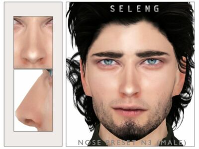 Nose Preset N3 (Male) By Seleng Sims 4 CC